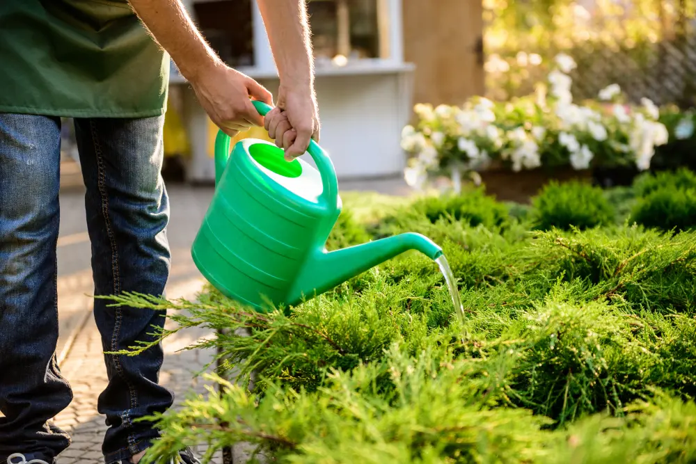 Homem regando plantas em jardim de casa