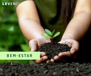 4 dicas de como cuidar do meio ambiente